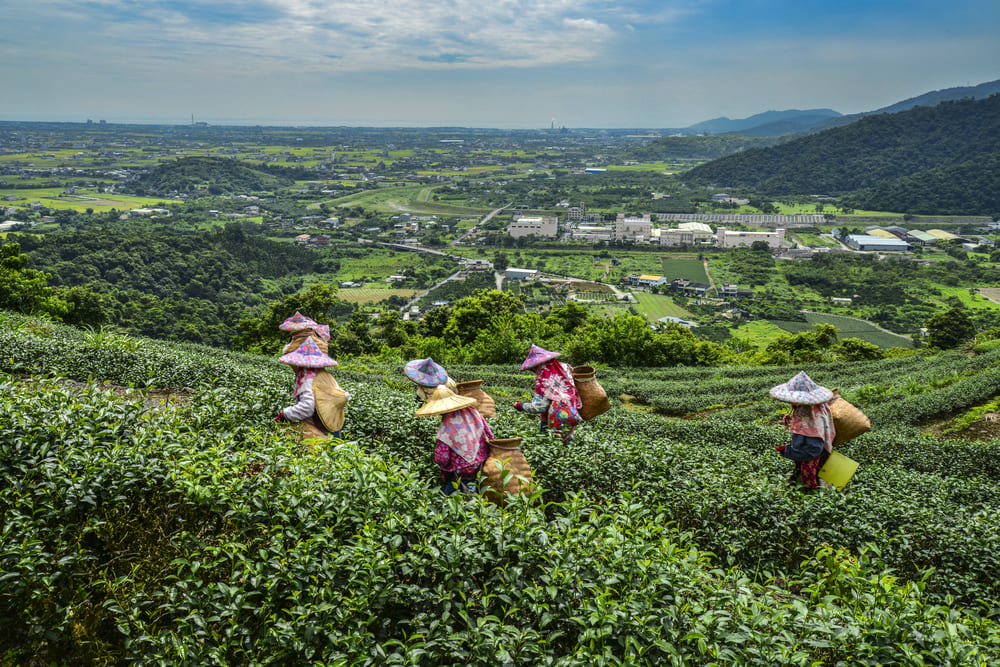 A.中山休閒農業區