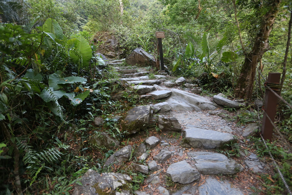 A.新寮瀑布步道