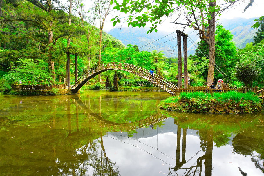 A.溪頭自然教育園區