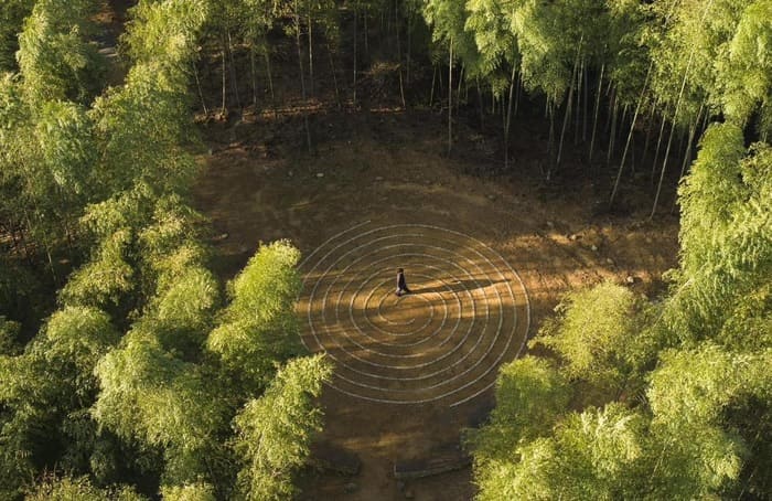 B世界竹地標(森林療癒基地) 明陣 0